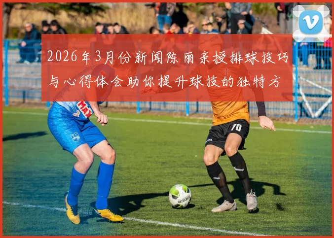 2026年3月份新闻陈丽亲授排球技巧与心得体会助你提升球技的独特方法分享